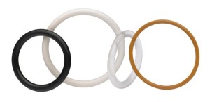 Parofluor V8545-75 Seals